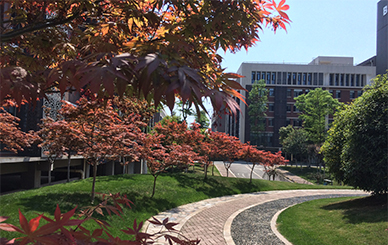 中安檢測公司綠化環境